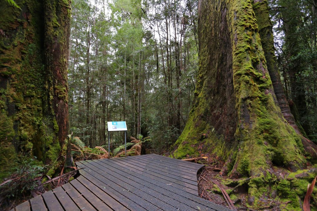 Information signs in the Styx Valley.