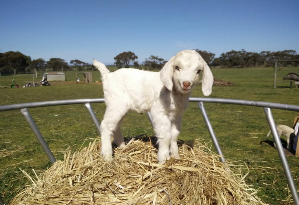 Outdoor activities in the Fleurieu Peninsula