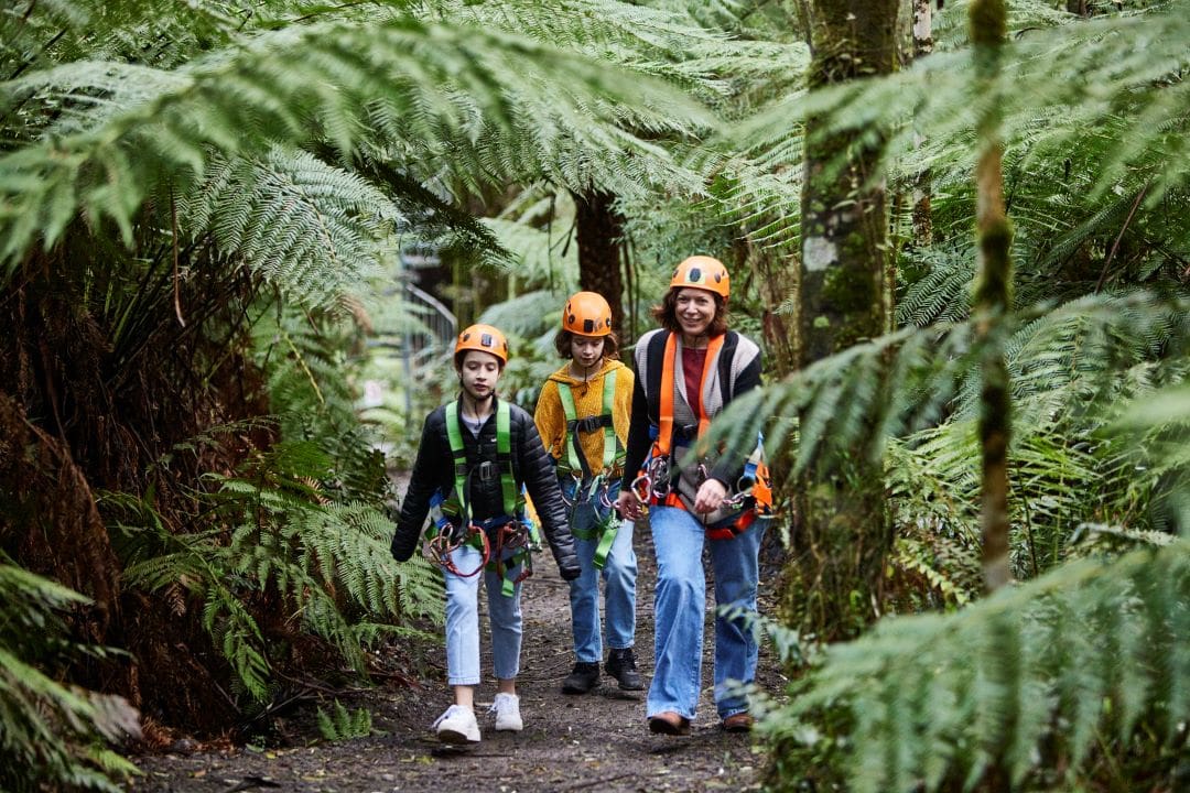 A group of hikers explore the Great Otway National Park