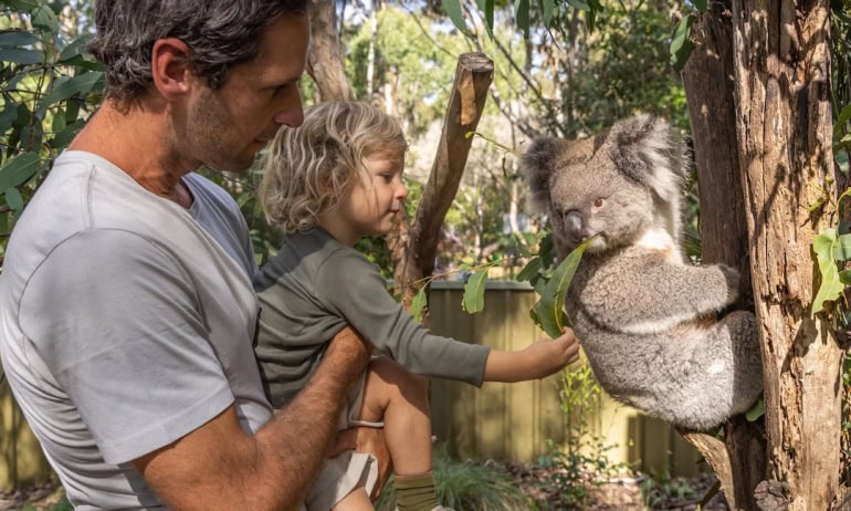 Potoroo Palace, Merimbula, an educational and conservation wildlife sanctuary .