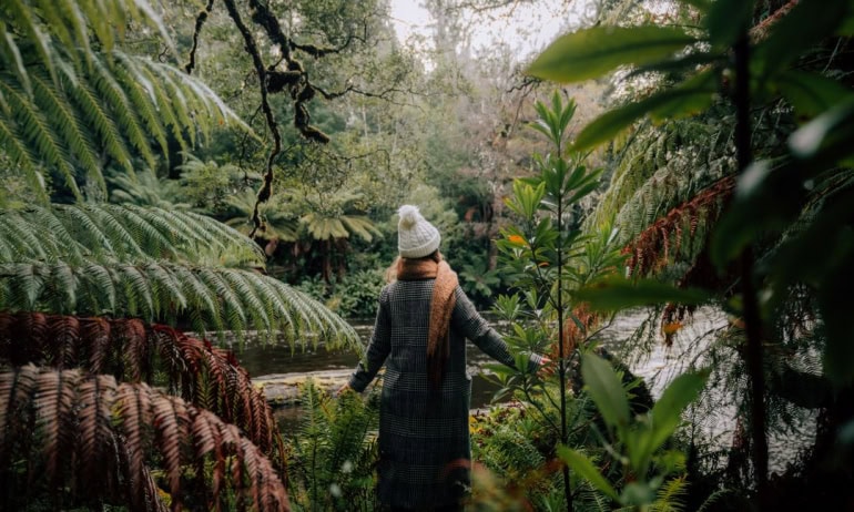 Woman passes through lush forest near Styx River Woman pushes through the plants and foliage of Styx Valley to see the view.